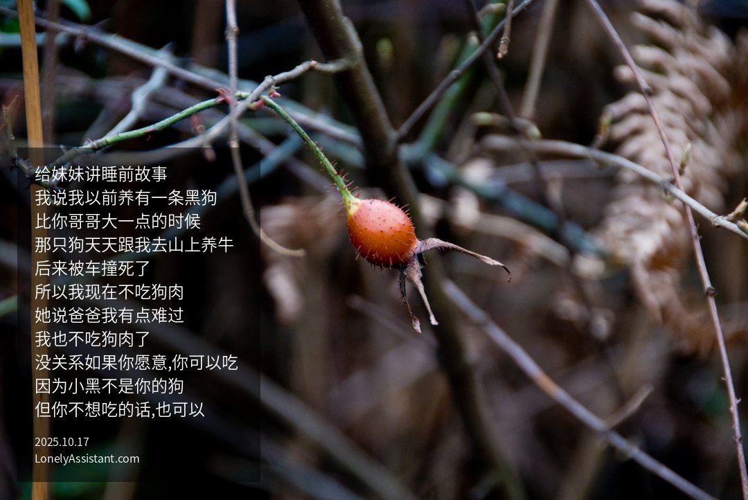 /media/images-phone/2025/10/17/2025-10-17 15.17.11.jpg